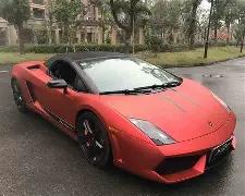 亚冬会,康一凡呼吁,志愿者展现,B体育官网,B,Sports,足球直播,篮球赛事,体育高清,NBA直播