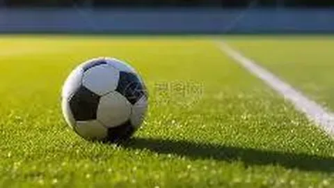 B体育 资讯 133503 9d9