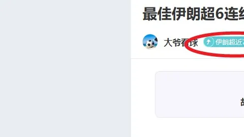 《奥斯梅恩加盟蓝图：切尔西复兴新引擎，共筑巅峰荣耀之路》